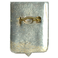 Значок Новгород (вид 2)