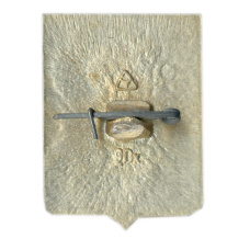 Значок Юрьев (вид 2)