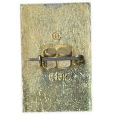 Значок Горький (вид 2)