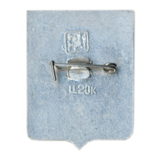 Значок Петропавловск-Камчатский (вид 2)