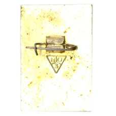 Значок Владимир (вид 2)