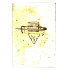 Значок Владимир (вид 2)