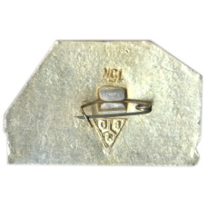 Значок Суздаль (вид 2)