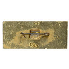 Значок Брянск (вид 2)