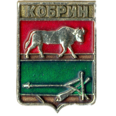 Значок Кобрин