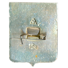 Значок Владимир (вид 2)