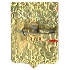 Значок Владимир (вид 2)