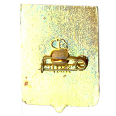 Значок Волгоград (вид 2)