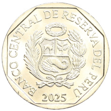 Монета 1 соль 2025 года Перу «Доколумбовая керамика — Культура Викус» (реверс)