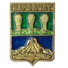 Значок Наровчат