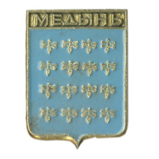 Значок Медынь