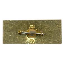 Значок Кострома (вид 2)