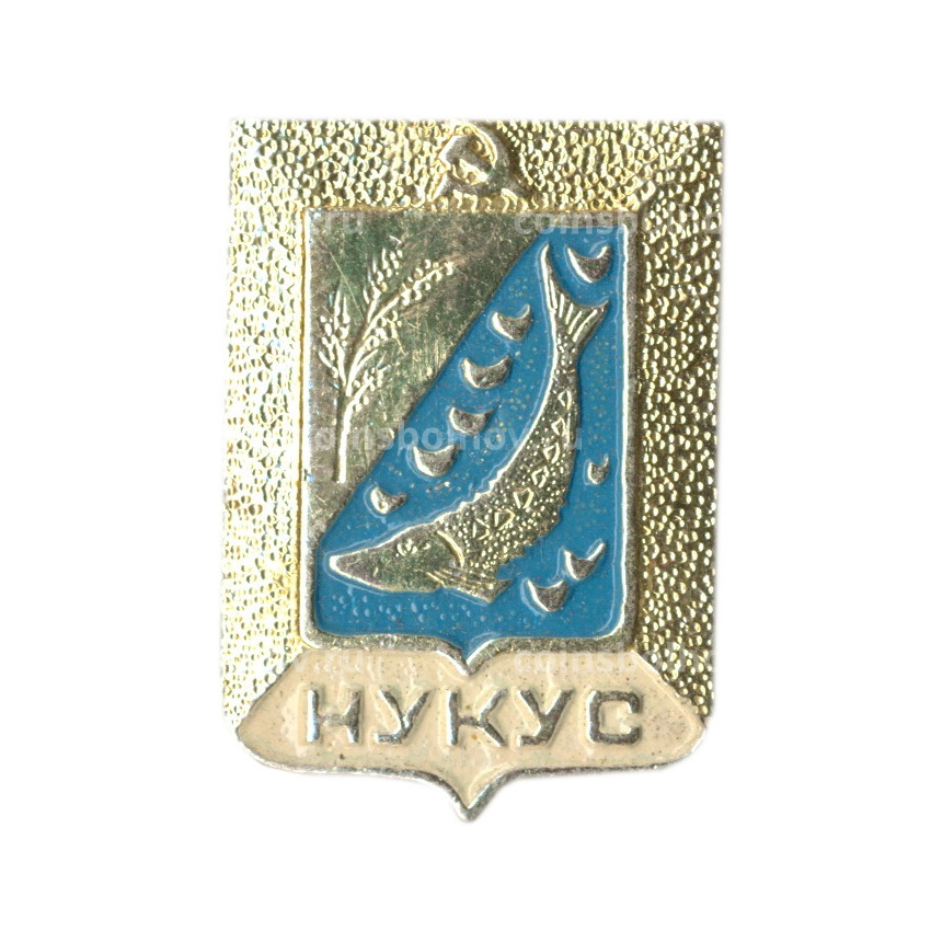 Значок Нукус