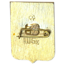 Значок Волгоград (вид 2)