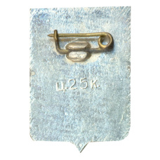 Значок Боровичи (вид 2)