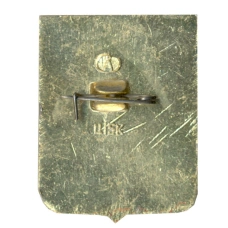 Значок Александров (вид 2)