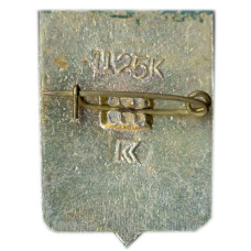 Значок Черновцы (вид 2)