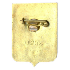 Значок Солигалич (вид 2)