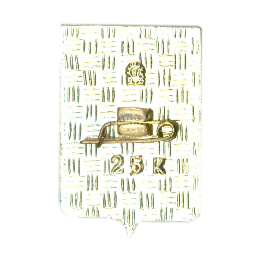 Значок Таганрог (вид 2)