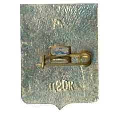 Значок Нежин (вид 2)