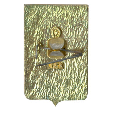 Значок Воронеж (вид 2)