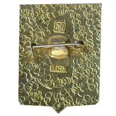 Значок Владивосток (вид 2)