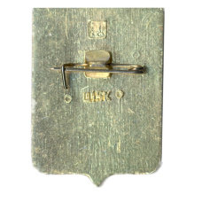 Значок Новая Ладога (вид 2)