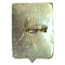 Значок Волгоград (вид 2)