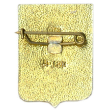 Значок Карши (вид 2)