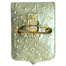 Значок Карши (вид 2)