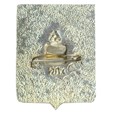 Значок Киржач (вид 2)