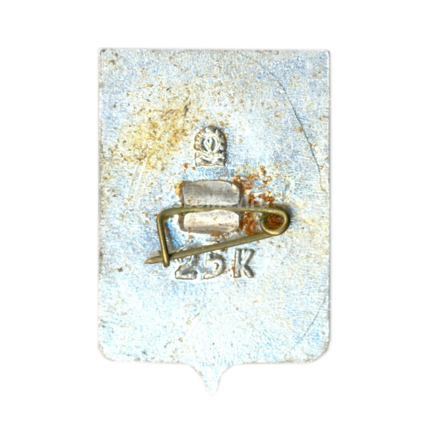 Значок Таганрог (вид 2)