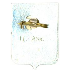 Значок Кострома (вид 2)