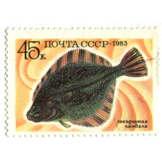 Марка «Звездчатая камбала» 1983 год
