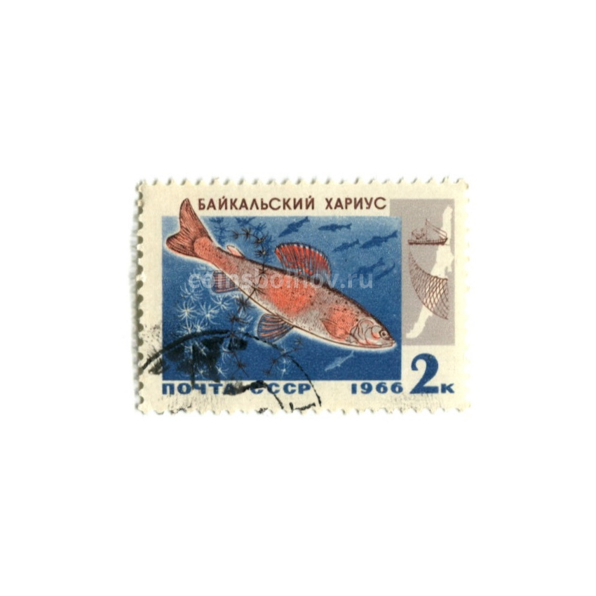 Марка «Байкальский хариус» 1966 год