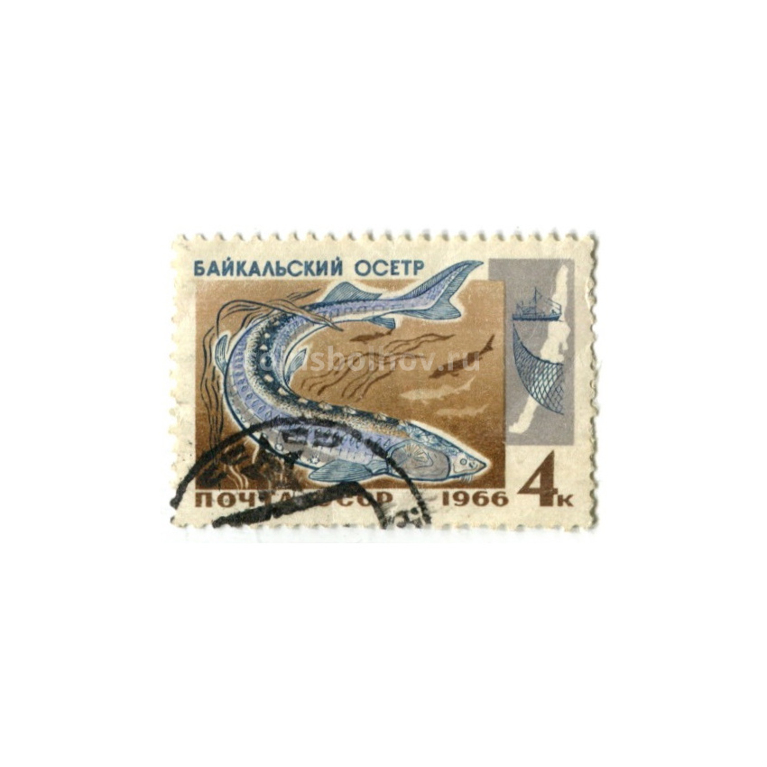 Марка «Байкальский осетр» 1966 год