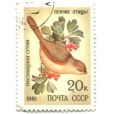 Марка «Певчие птицы — Тростниковая сутора» 1981 год