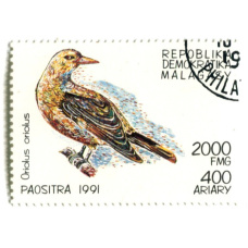 Марка «Иволга обыкновенная» 1991 год Мадагаскар