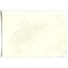 Марка «Иволга обыкновенная» 1991 год Мадагаскар (вид 2)