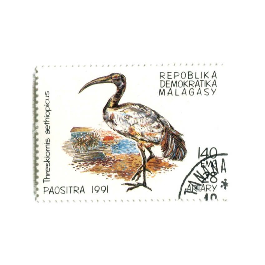 Марка «Священный ибис» 1991 год Мадагаскар