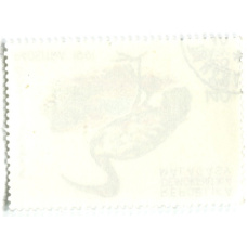 Марка «Священный ибис» 1991 год Мадагаскар (вид 2)