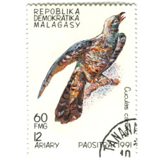 Марка «Кукушка обыкновенная» 1991  год Мадагаскар