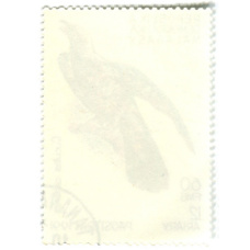 Марка «Кукушка обыкновенная» 1991  год Мадагаскар (вид 2)