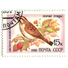 Марка «Певчие птицы — Овсянка Янковского» 1981 год