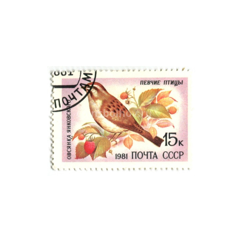Марка «Певчие птицы — Овсянка Янковского» 1981 год