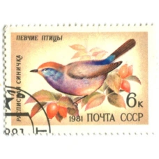 Марка «Певчие птицы — Расписная синичка» 1981 год