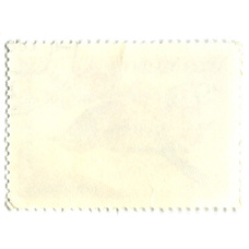 Марка «Певчие птицы — Расписная синичка» 1981 год (вид 2)