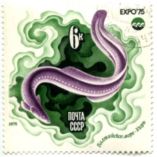 Марка «Балтийское море — угорь» 1975 год