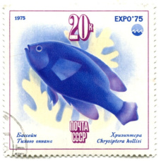 Марка «Бассейн Тихого океана — Хризиптера» 1975 год