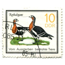 Марка «Ротбалсганы» 1985 год Германия (аверс)